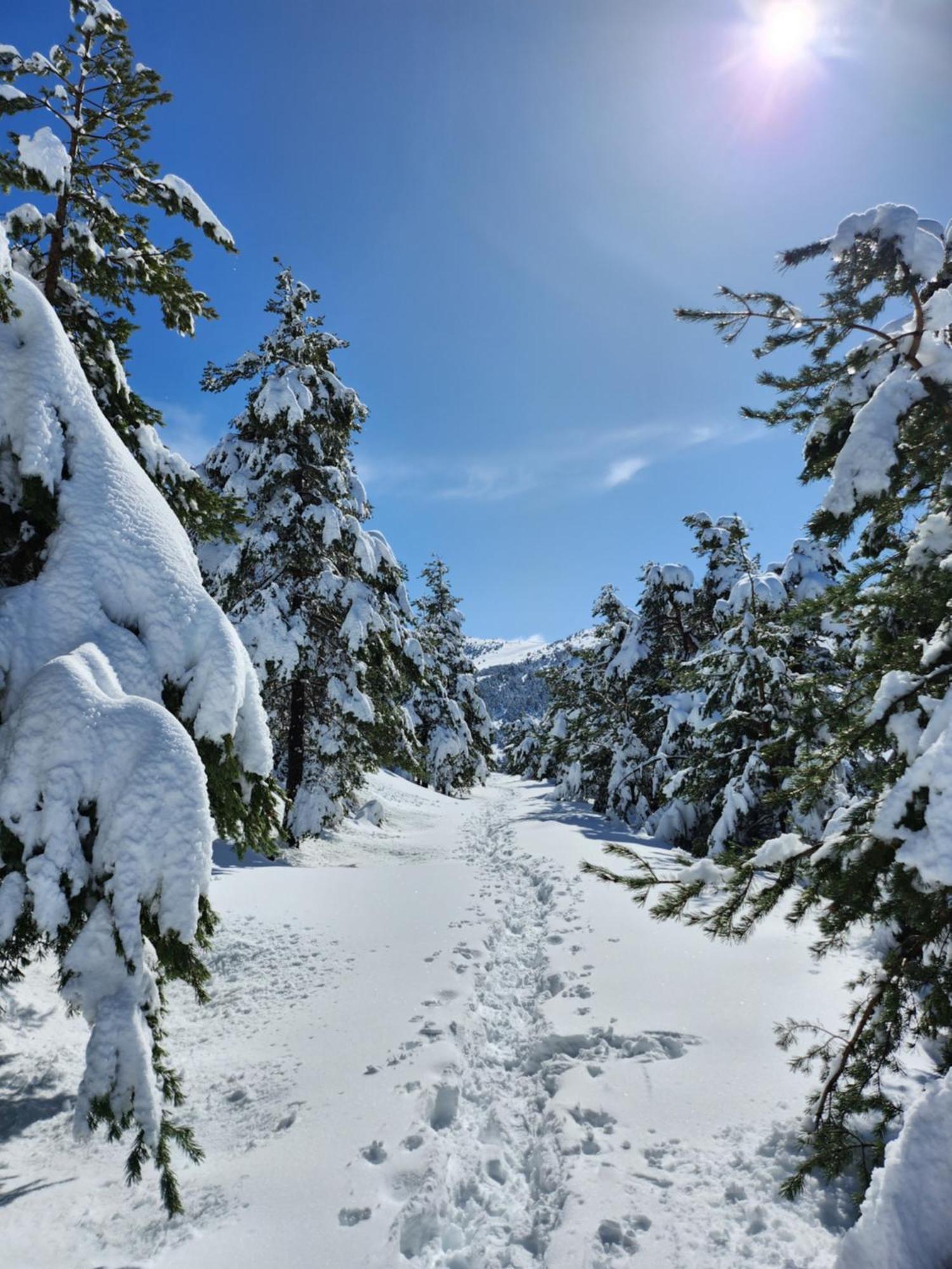 Greolieres Les Neiges Appartement Buitenkant foto